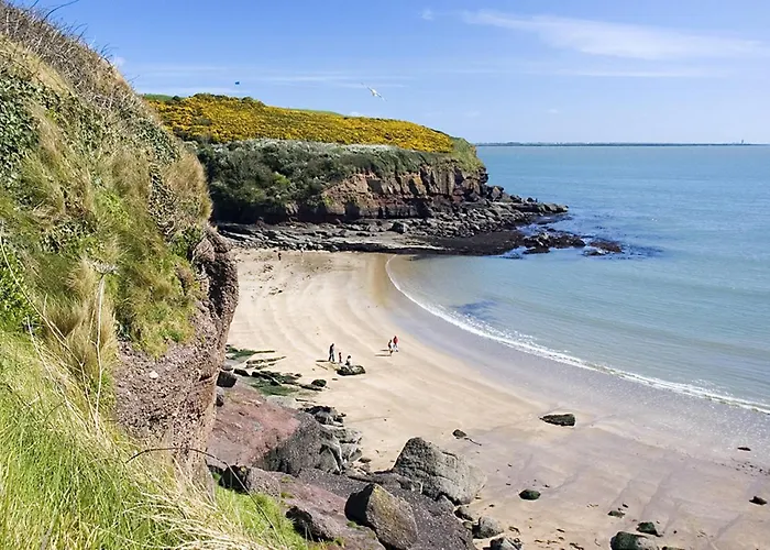 Forest Haven No 6 By Trident Homes * Dunmore East